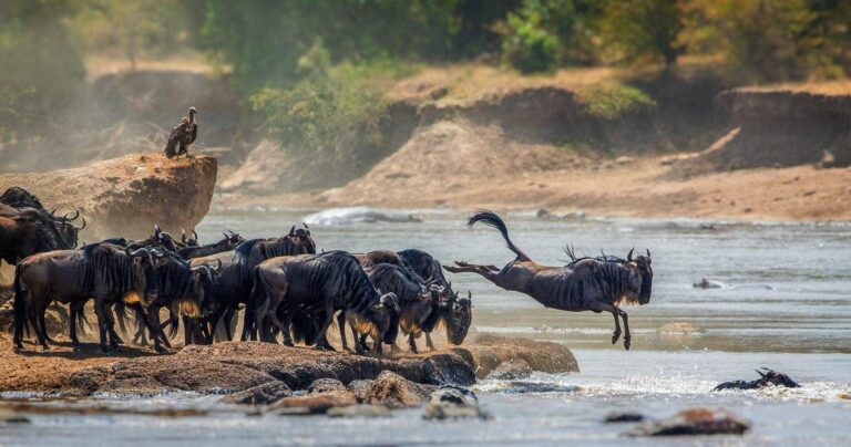 serengeti-national-park