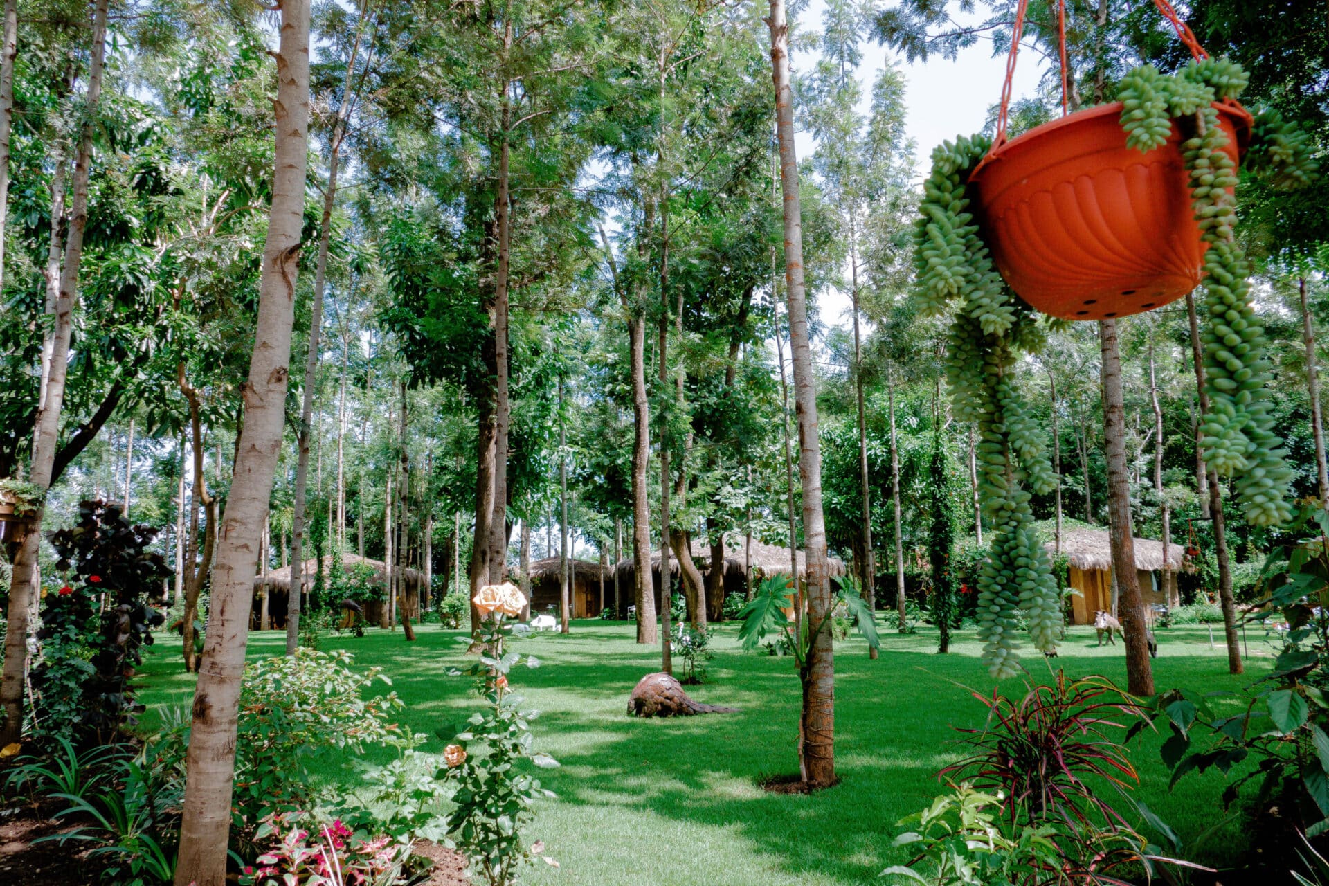 Mtoni-River-Lodge5