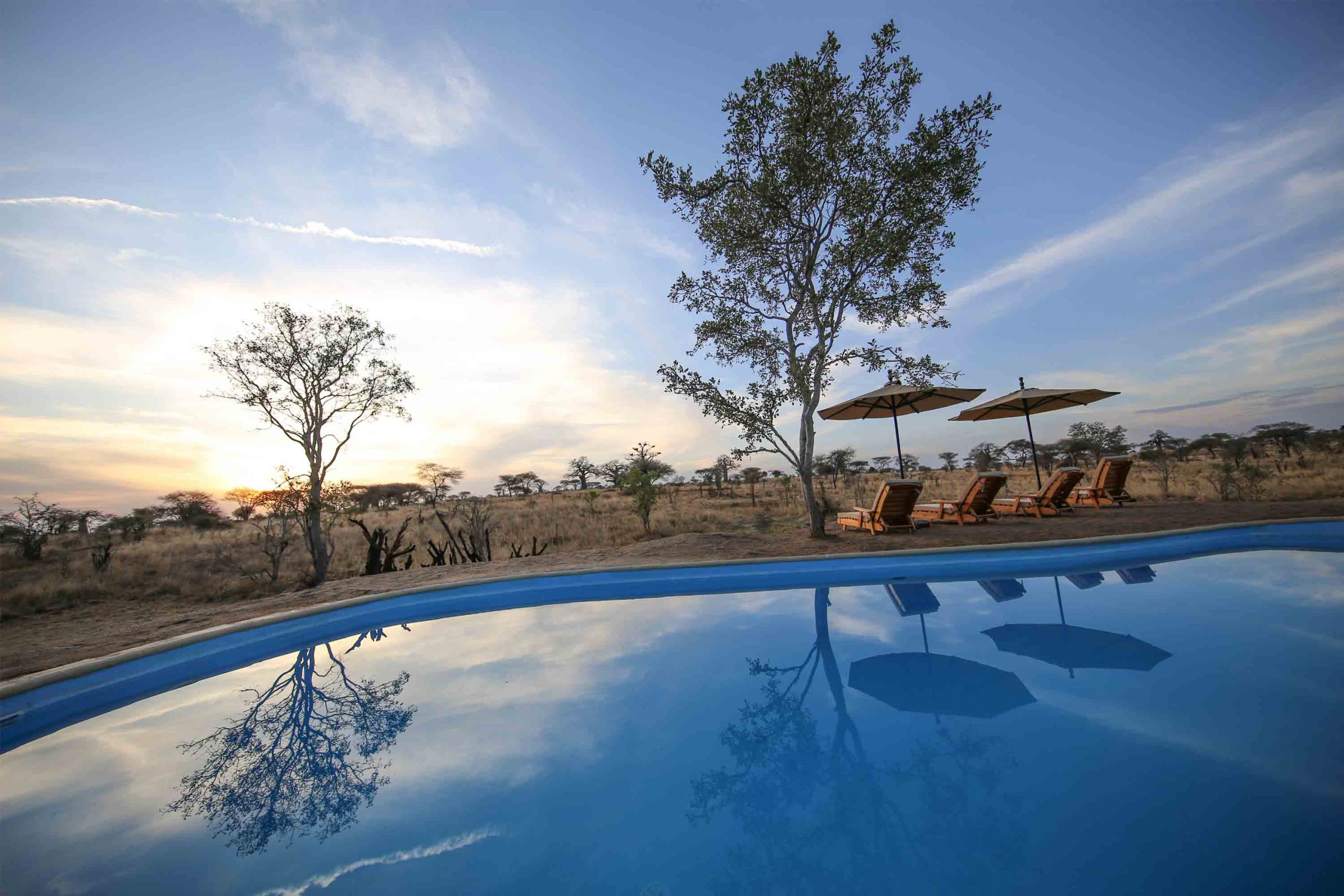 Nimali-Tarangire-Camp-Pool-scaled