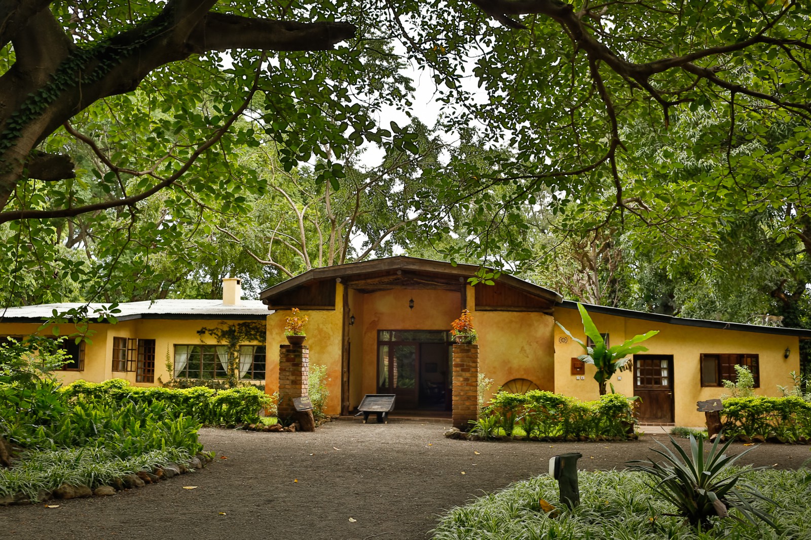 River-trees-country-inn